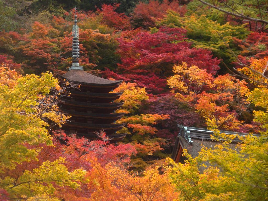 Yamabe Hotell Tenri Exteriör bild