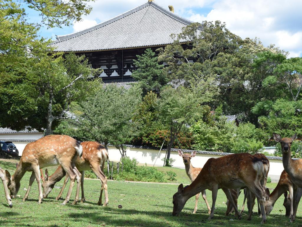 Yamabe Hotell Tenri Exteriör bild